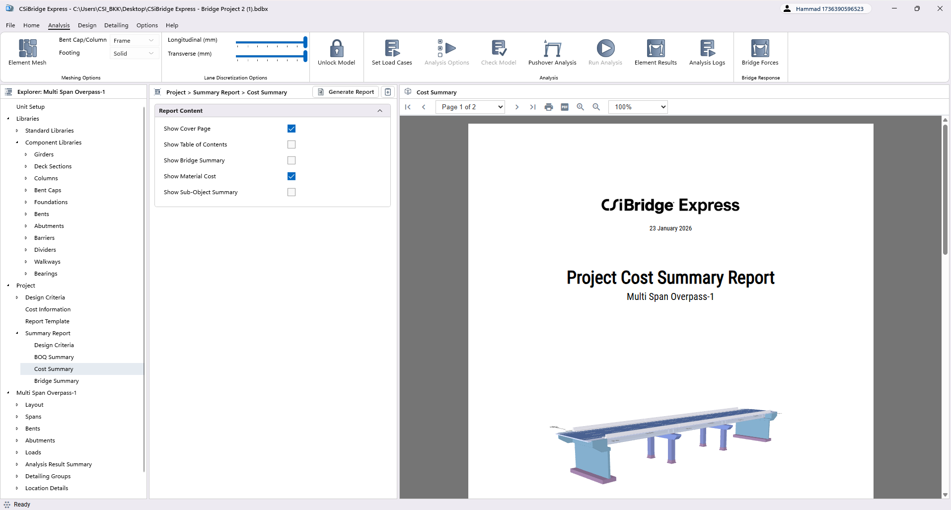 Cost Summary Report
